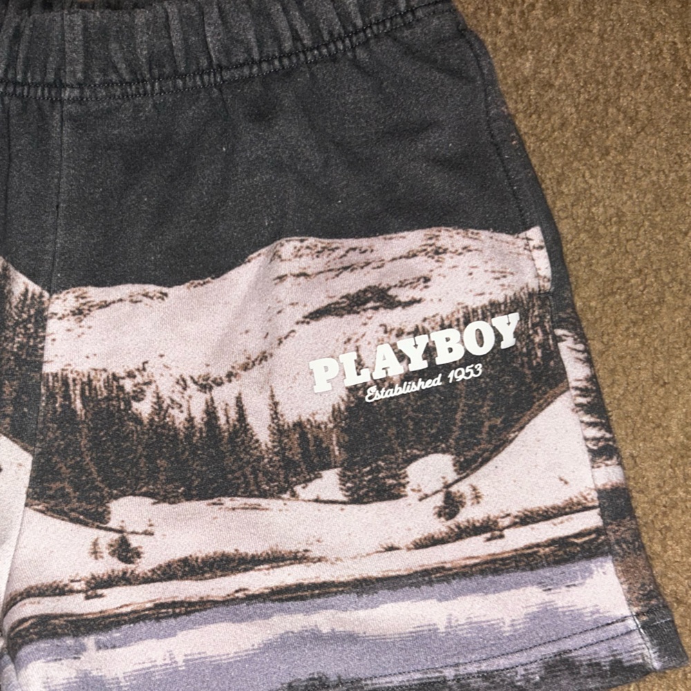 PacSun x Playboy Mountain Graphic Sweat Shorts - Picture 2 of 4